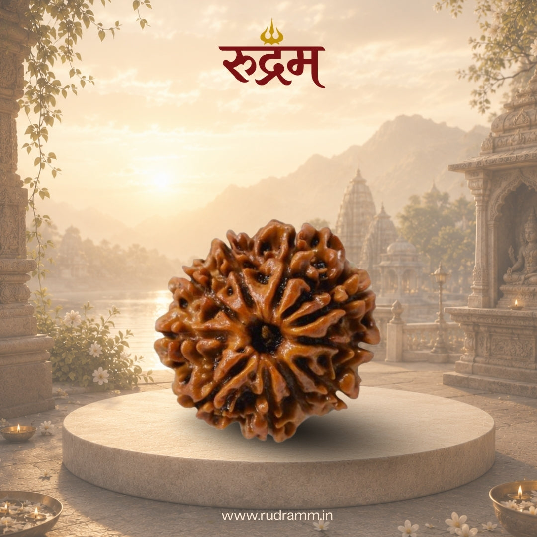 10 Mukhi Rudraksha