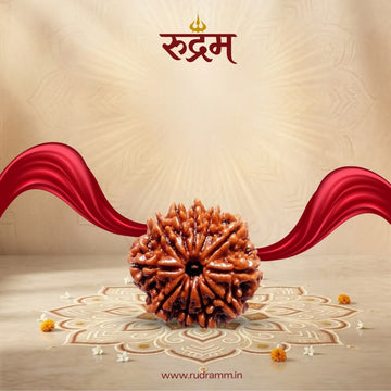 11 mukhi rudraksha