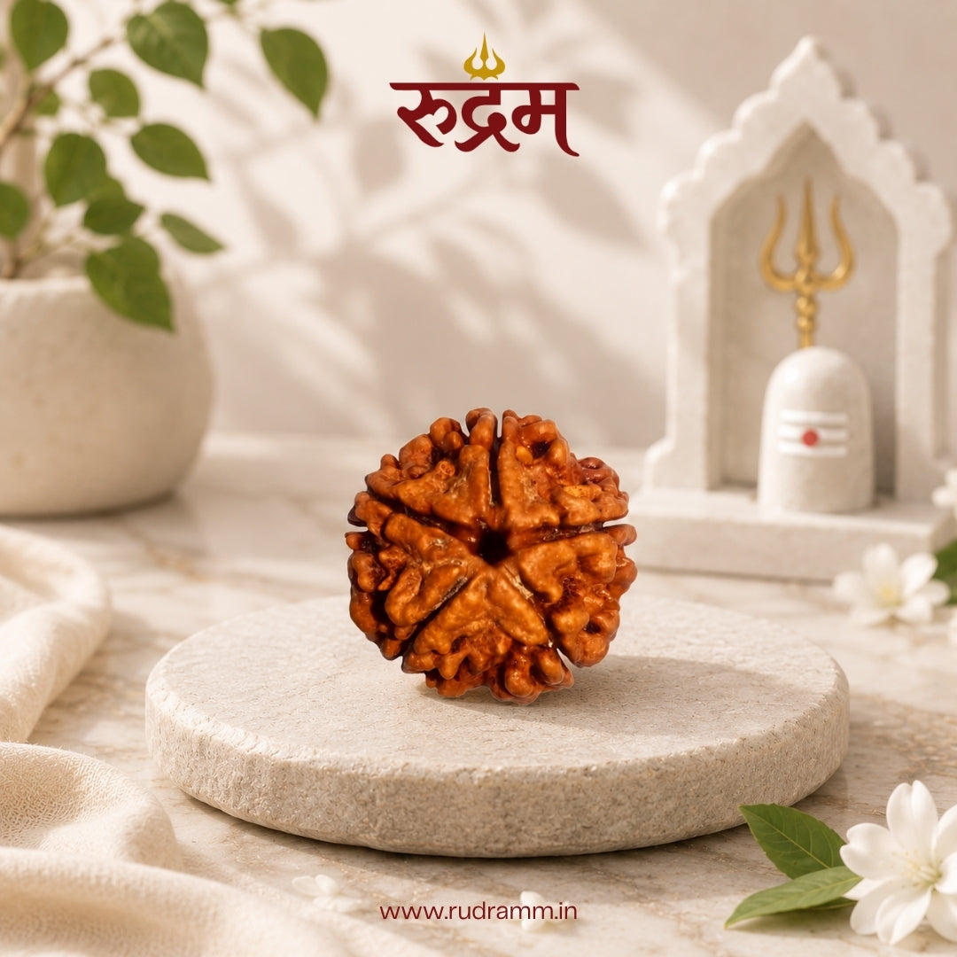 5 Mukhi Nepali Rudraksha