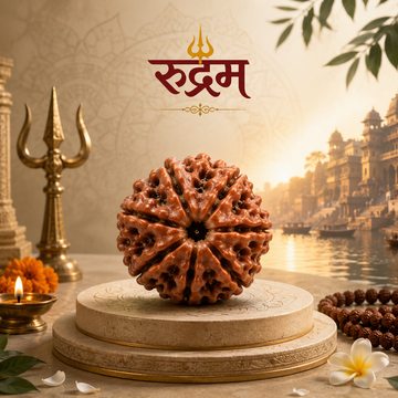 7 Mukhi Rudraksha