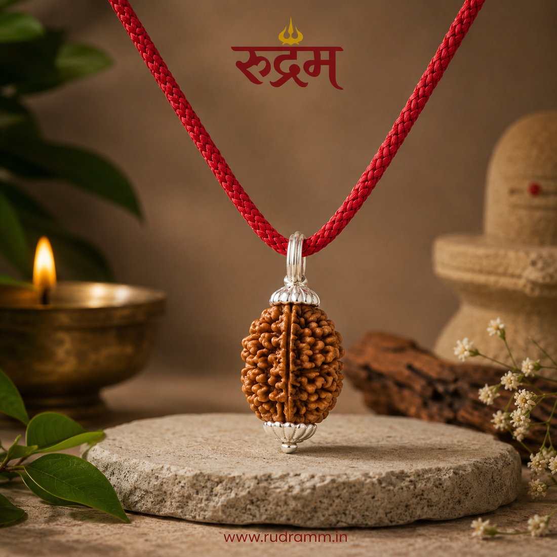 2 Mukhi Rudraksha