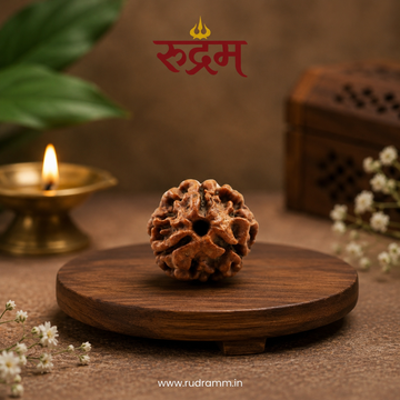 3 Mukhi Rudraksha