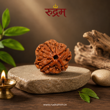 4 Mukhi Rudraksha