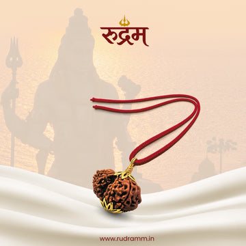 Garbh Gauri Rudraksha