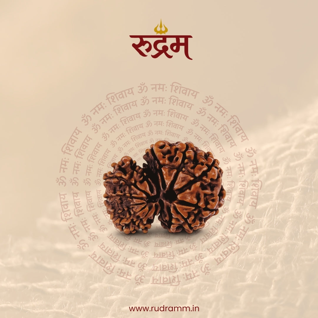 Garbh Gauri Rudraksha